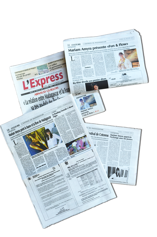 L'Express — Fun & Flow exhibition